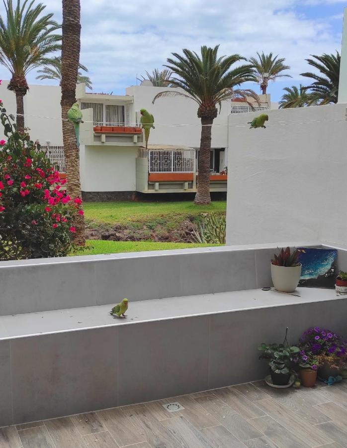 Ideal Holiday Apartment In The South Of Tenerife กอสตา เดล ซิเลนซิโอ ภายนอก รูปภาพ